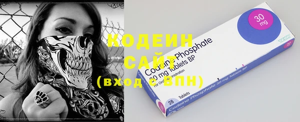 PSILOCYBIN Каменка