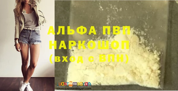 PSILOCYBIN Каменка
