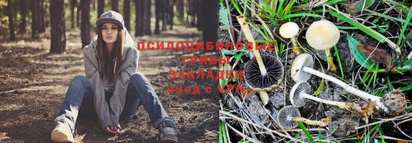 альфа пвп Каменск-Шахтинский