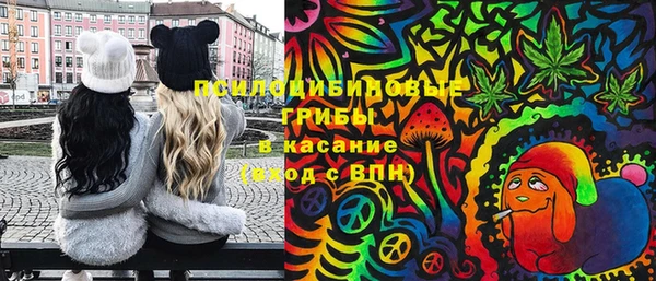 PSILOCYBIN Каменка