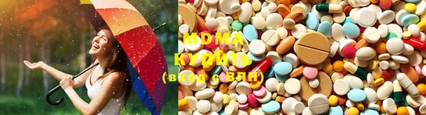 PSILOCYBIN Каменка