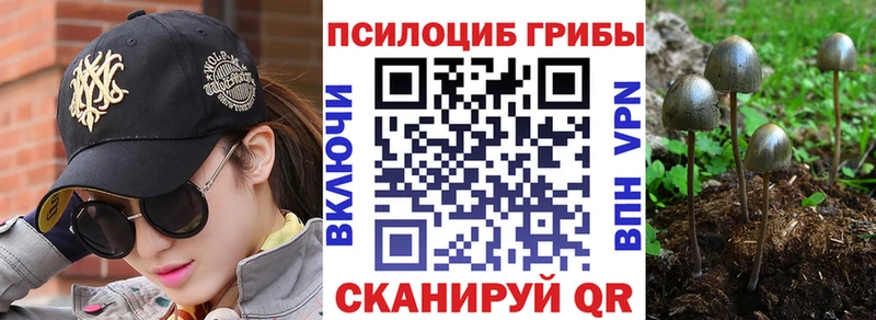 Галлюциногенные грибы GOLDEN TEACHER  Купить где  Катав-Ивановск 